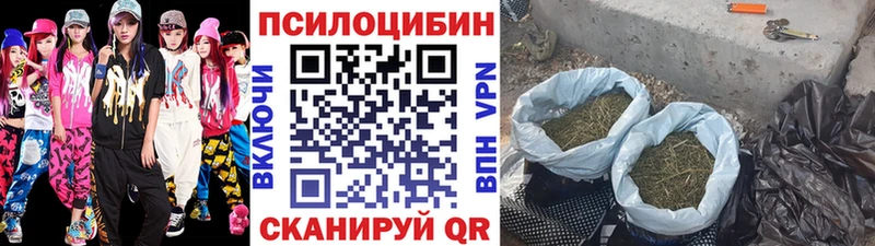 Галлюциногенные грибы MAGIC MUSHROOMS  Купить закладки  Лесосибирск 